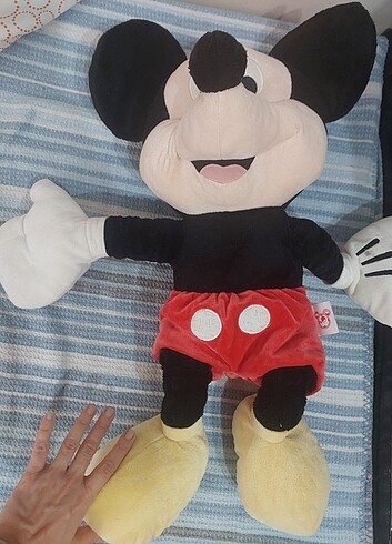 Walt Disney World Mickey Mouse
