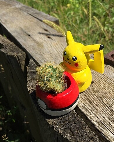 Diğer Pikachu