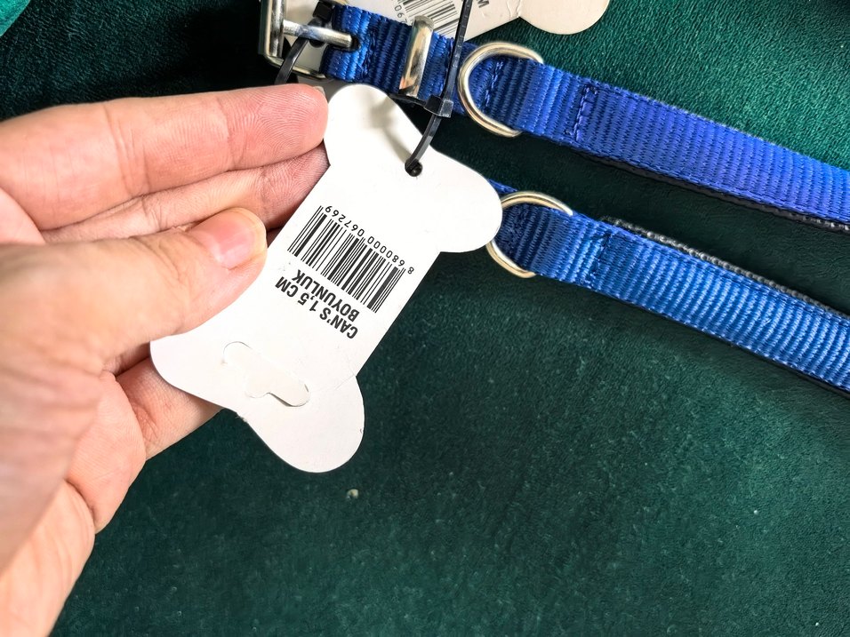 Renkli Köpek Tasması - Görsel 3