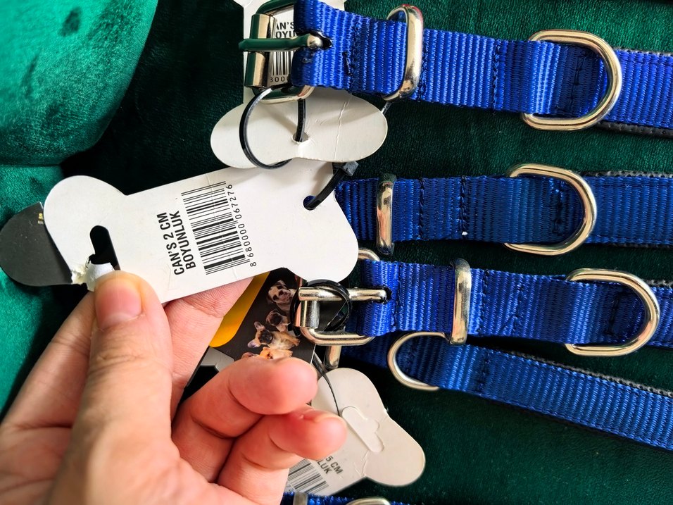 Renkli Köpek Tasması - Görsel 2