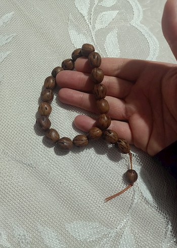 Tespih andız ağacı - Görsel 2