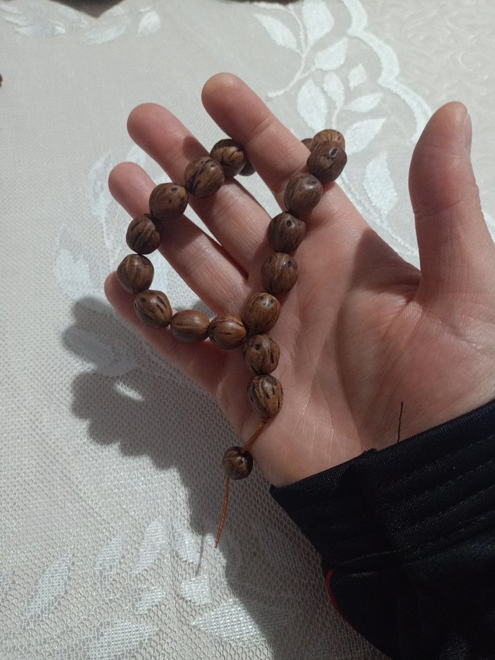 Tespih andız ağacı - Görsel 5