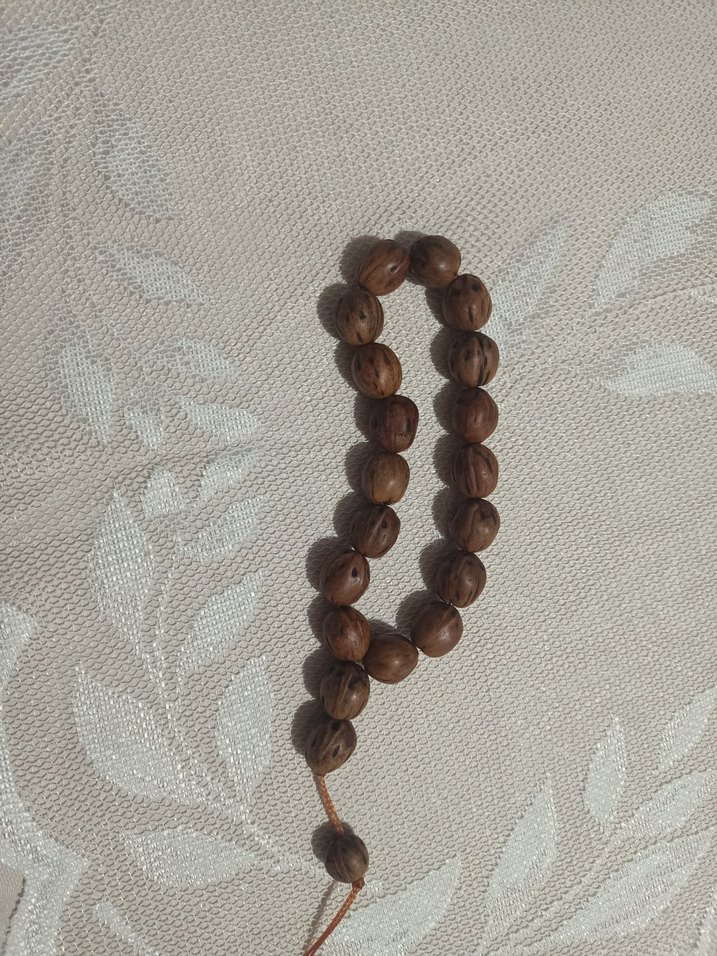 Tespih andız ağacı - Görsel 4