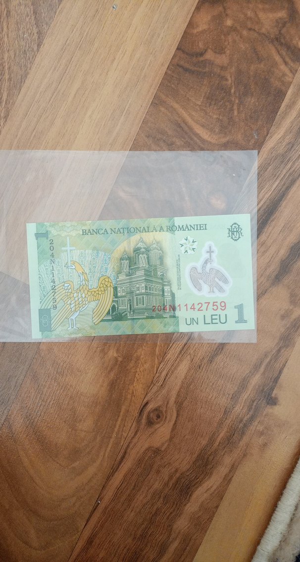 Romen 1 Leu Hatıra Banknotu - Görsel 2