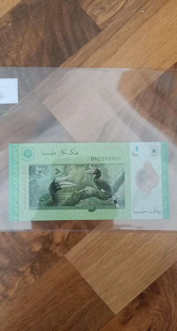 Bank Negara Malaysia 5 Ringgit Banknotu - Görsel 2
