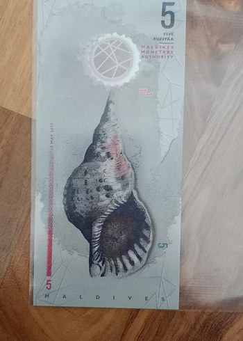 Koleksiyonluk 5 Birim Banknot - Görsel 2