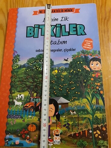 Benim ilk bitkiler kitabım
