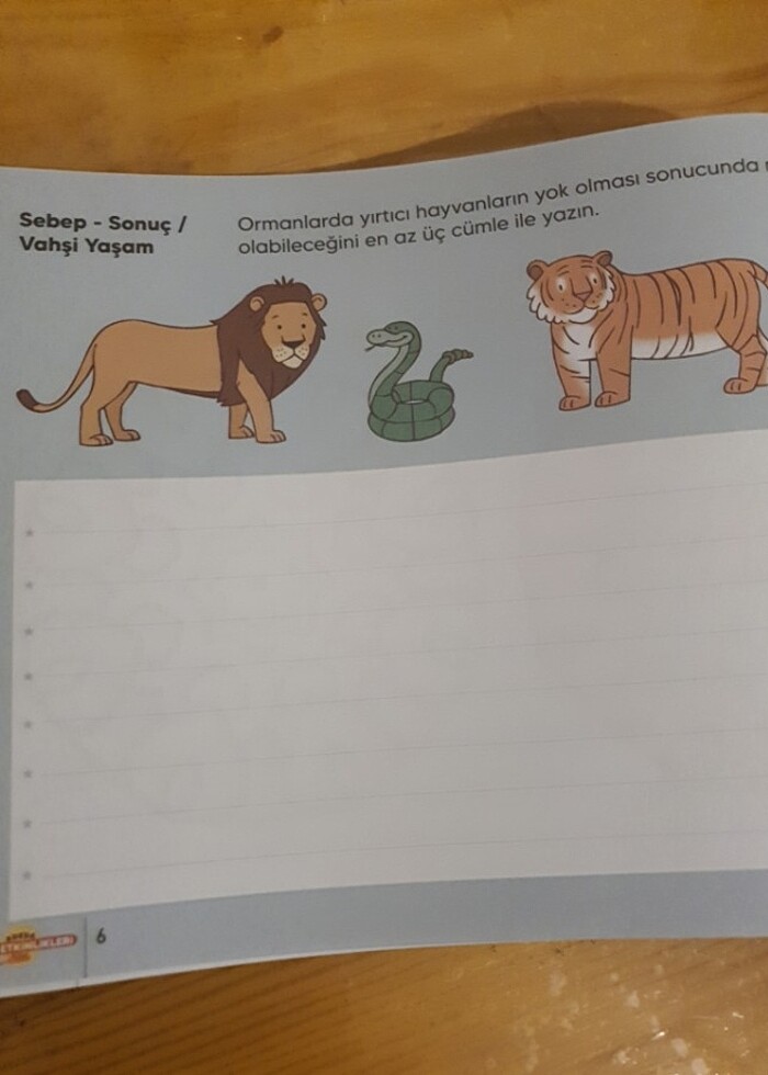 Adeda yayınları - Görsel 2