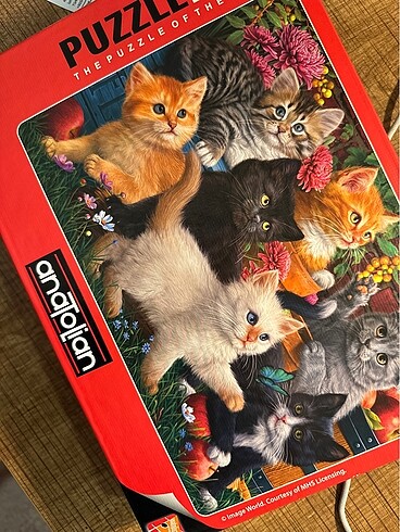  Beden Yapılmış puzzle