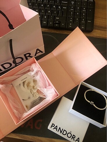 pandora charm bileklik