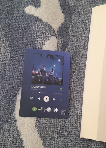 Yaz Uykusu - Zeynep Sey - Görsel 4