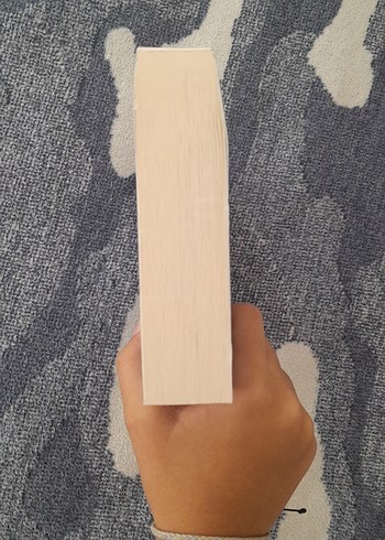 Yaz Uykusu - Zeynep Sey - Görsel 10