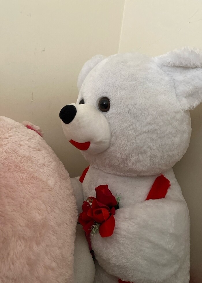 Ayıcık - Görsel 5