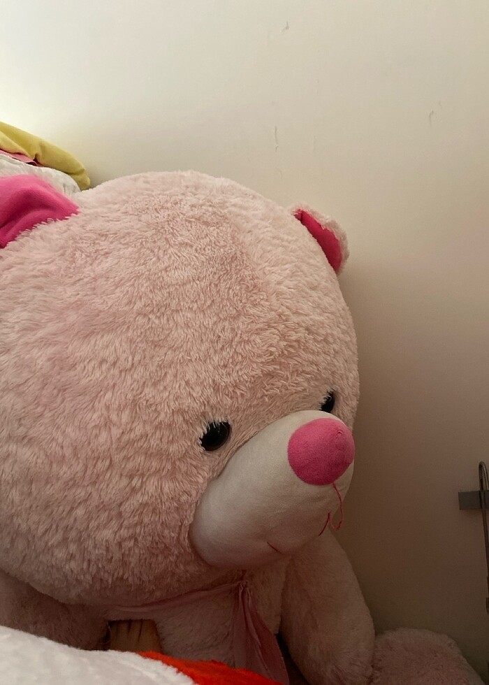 Ayıcık - Görsel 4