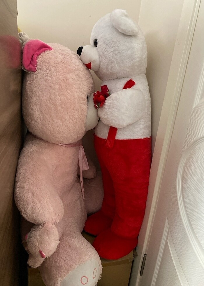 Ayıcık - Görsel 2