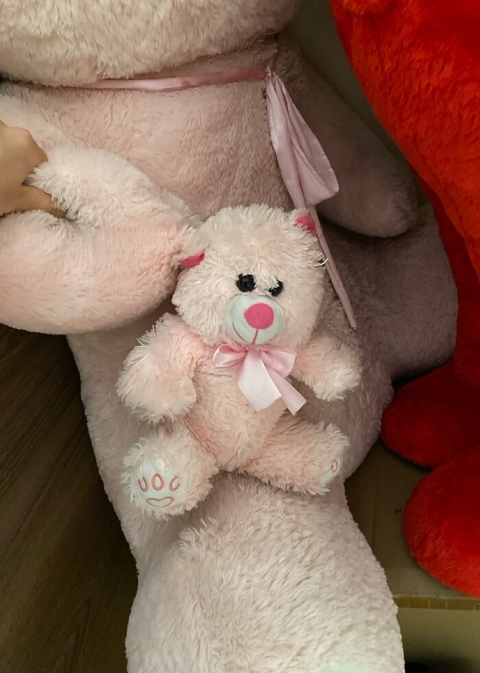 Ayıcık - Görsel 3