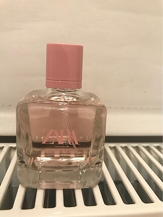 Zara wonder rose