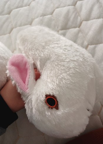 Tavşanlı panduf - Görsel 2