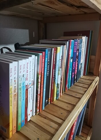 Beden Beyza alkoç kitapları ve çocuk kitapları