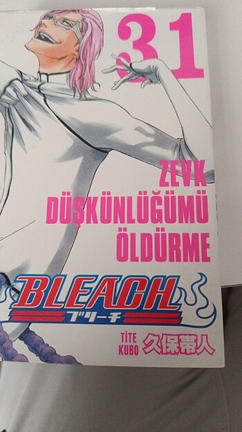 Bleach 31. Cilt 