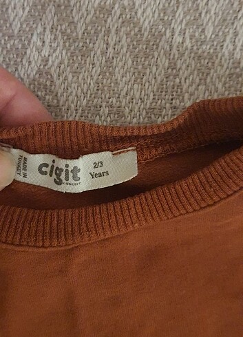 2 Yaş Beden kahverengi Renk Unisex çocuk takım 