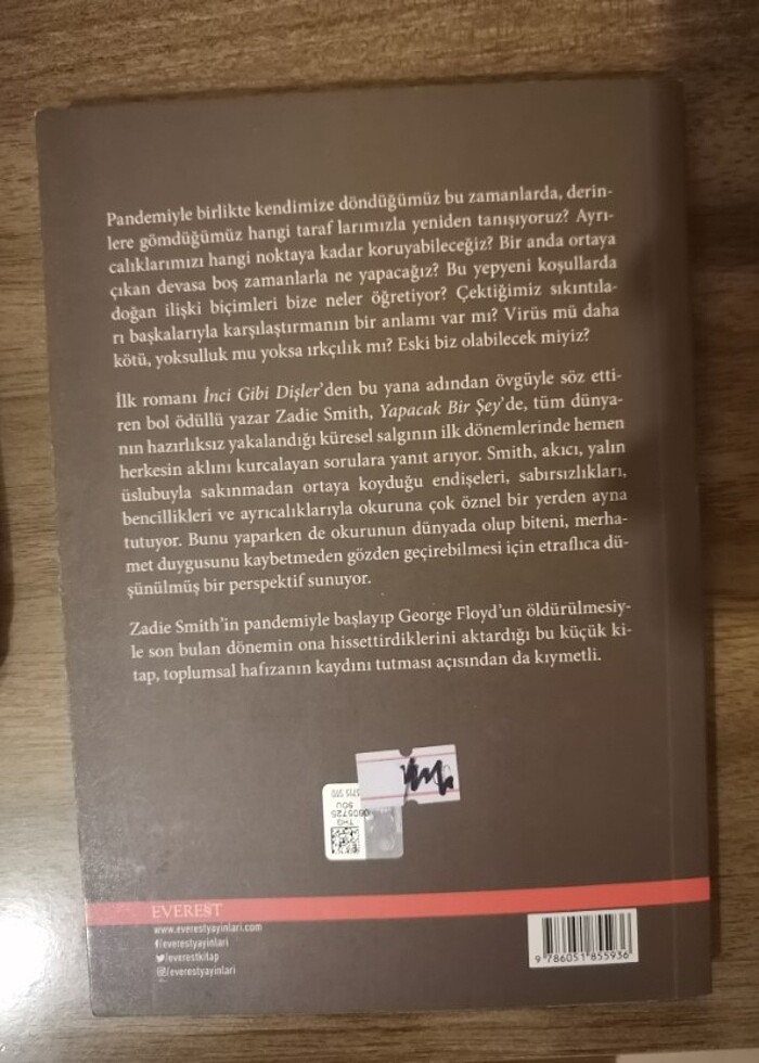 Zadie Smith Yapacak Bir Şey - Görsel 2