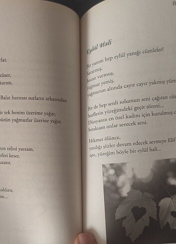  Beden Roman