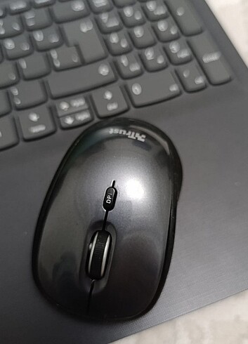 Mouse fare