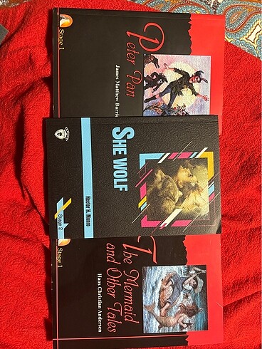 İngilizce kitap
