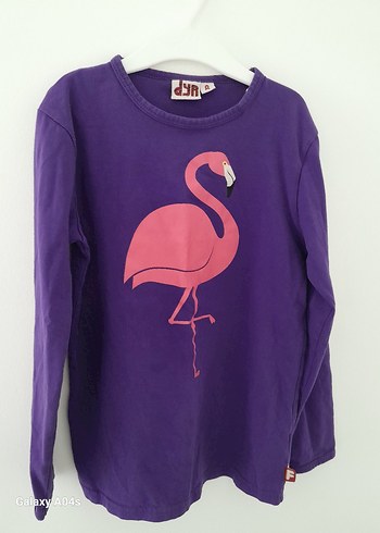 Walt Disney World 7 Yaş