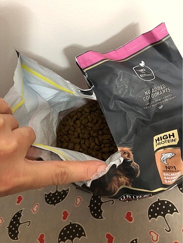Beden Proplan 3 kg köpek maması