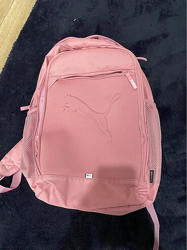 Puma canta