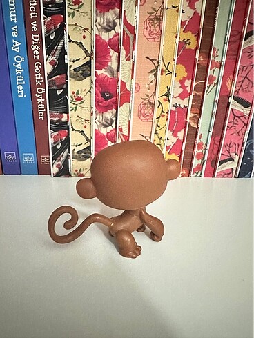 LPS Maymun Miniş