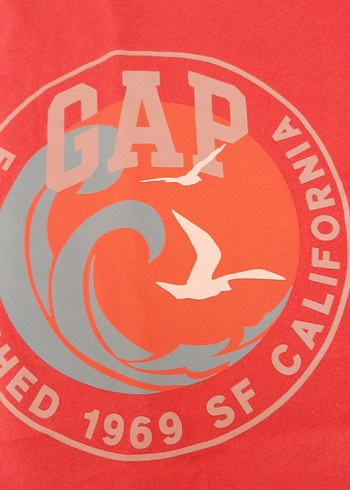 Gap Renkli Baskılı Kırmızı Erkek Tişört