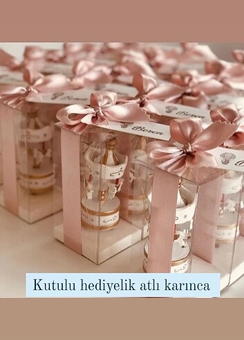  Beden Hediyelik atlı karınca
