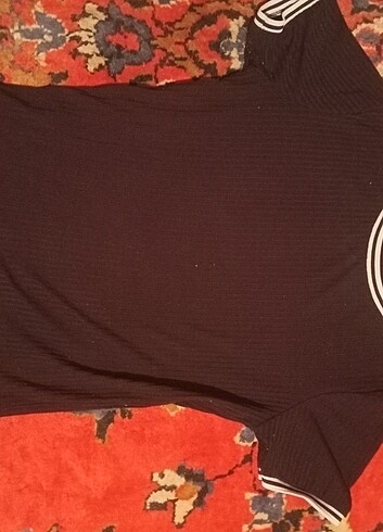 Diğer Yeni gubii