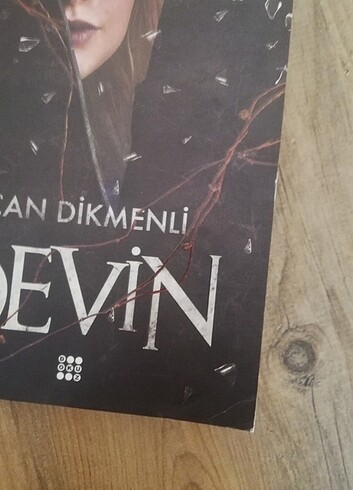  Beden Renk devin