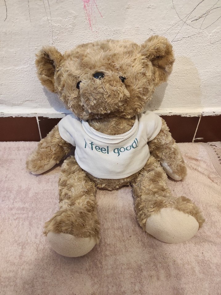 Kahverengi Peluş Ayıcık Oyuncak - Görsel 2