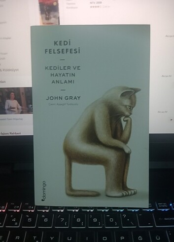 Kedi felsefesi