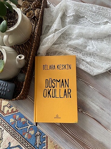 Düşman Okullar