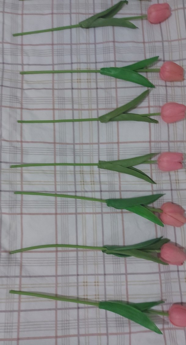 Pastel Pembe Dekoratif Lale - Görsel 2