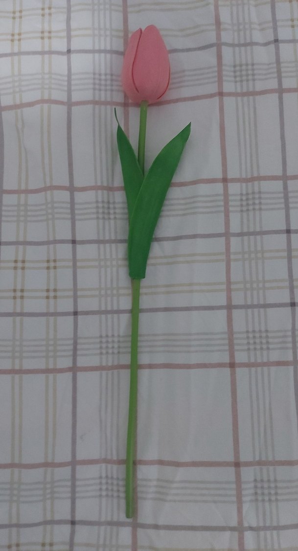 Pastel Pembe Dekoratif Lale - Görsel 3