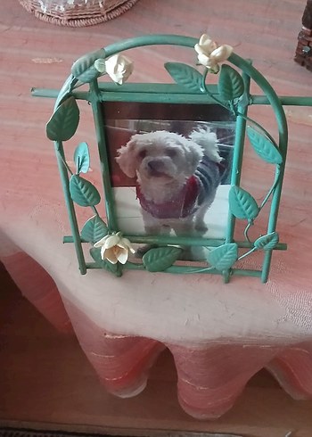 Diğer Çiçek Detaylı Pastel Renk Metal Çerçeve