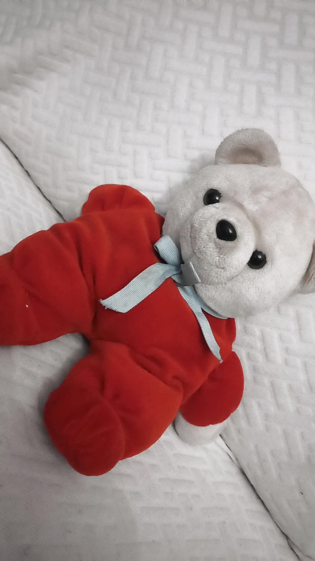 Kırmızı tulumlu peluş ayı oyuncak - Görsel 2