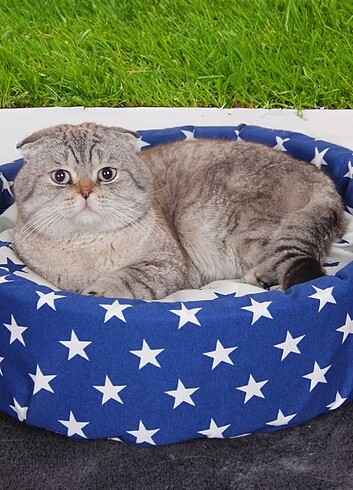  Beden Simit kedi yatağı sıfır ürün 
