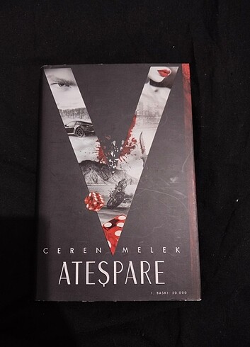  kitap