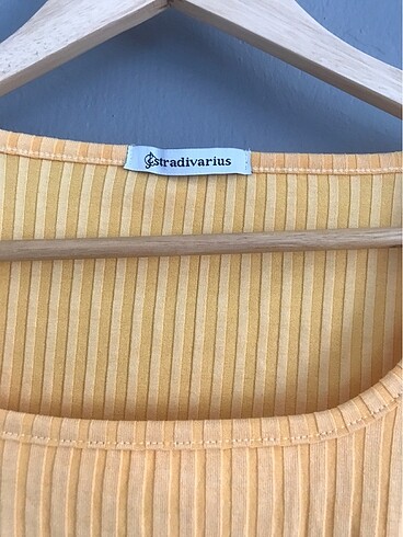 Stradivarius stadivarius crop