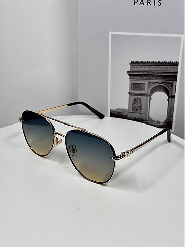 Louis Vuitton LOUIS VUITTON UNISEX GÖZLÜK