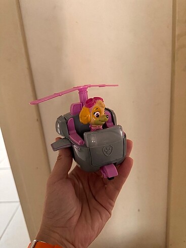  Paw patrol sky