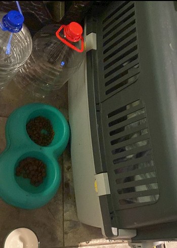 Skudo iata 4 tekerleksiz - Görsel 5